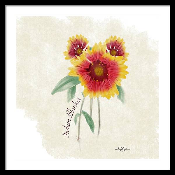 Indian Blanket - Framed Print