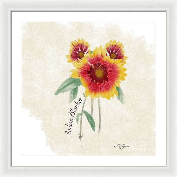 Indian Blanket - Framed Print