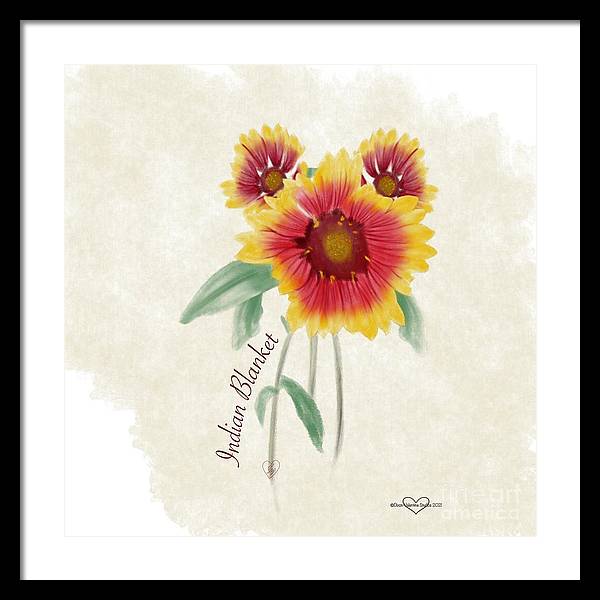 Indian Blanket - Framed Print