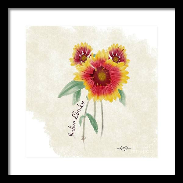 Indian Blanket - Framed Print