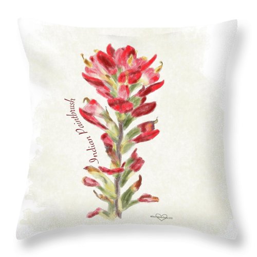 Indian Paintbrush - Throw Pillow