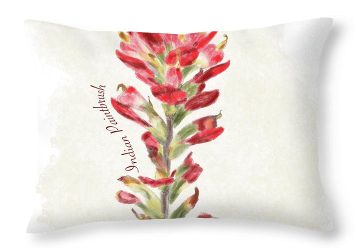 Indian Paintbrush - Throw Pillow