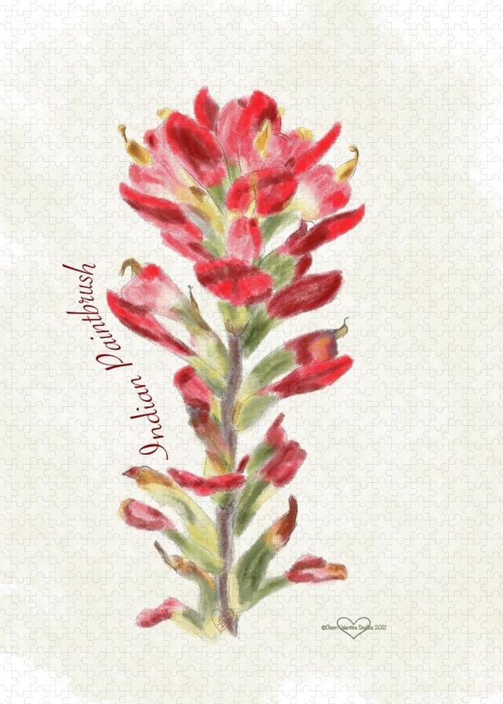 Indian Paintbrush - Puzzle