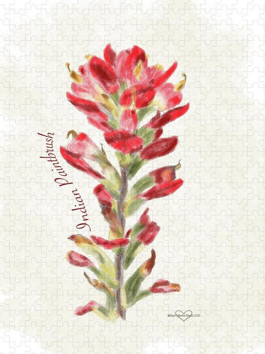 Indian Paintbrush - Puzzle