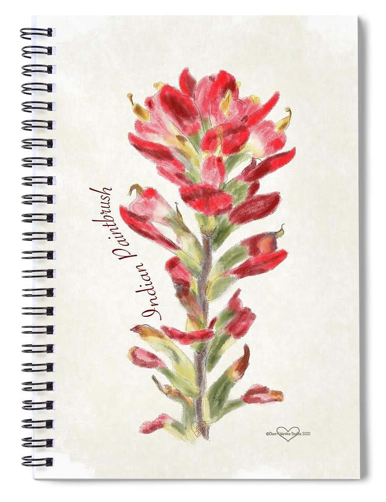 Indian Paintbrush - Spiral Notebook