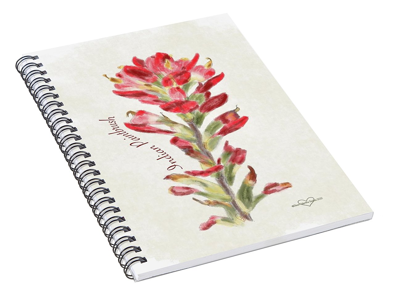 Indian Paintbrush - Spiral Notebook