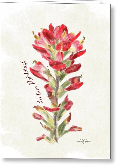 Indian Paintbrush - Greeting Card