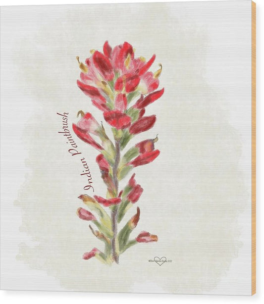 Indian Paintbrush - Wood Print