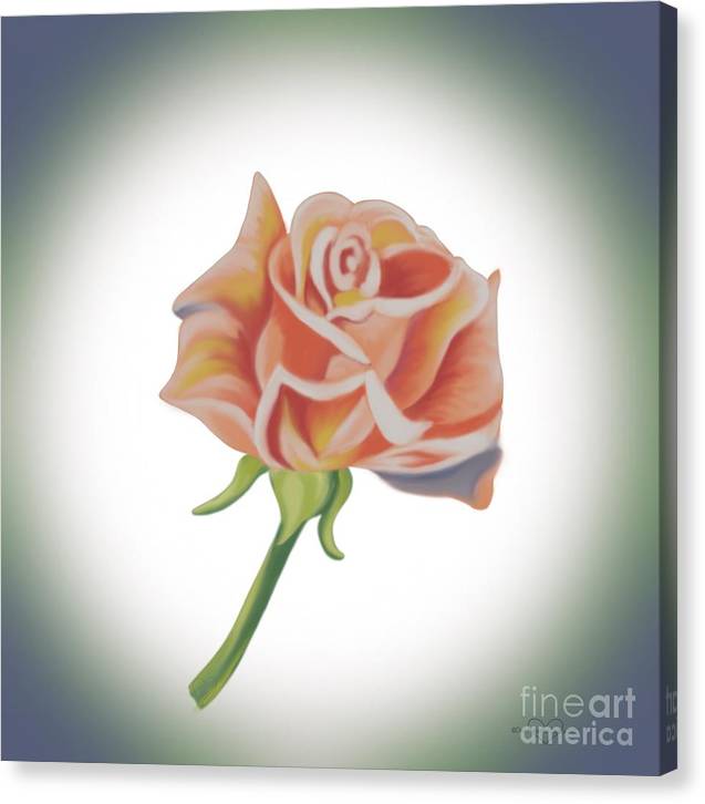 Single Pink Rose - Canvas Print