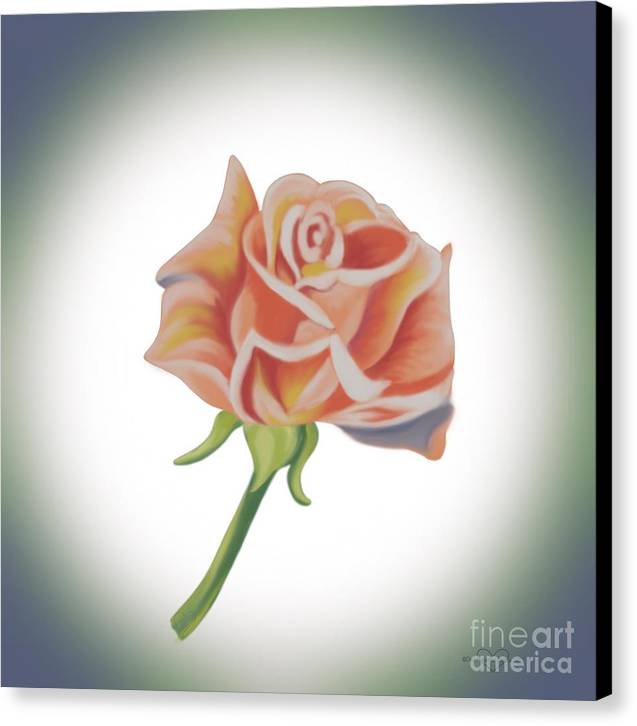 Single Pink Rose - Canvas Print