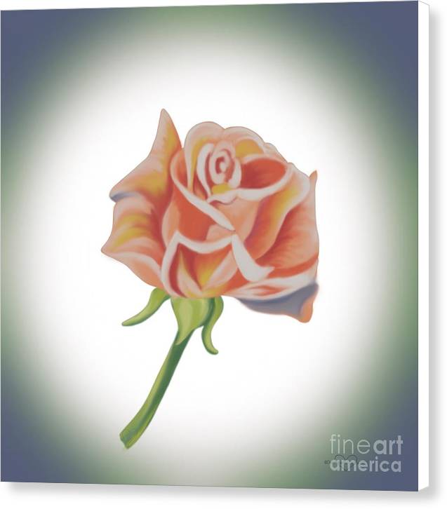 Single Pink Rose - Canvas Print