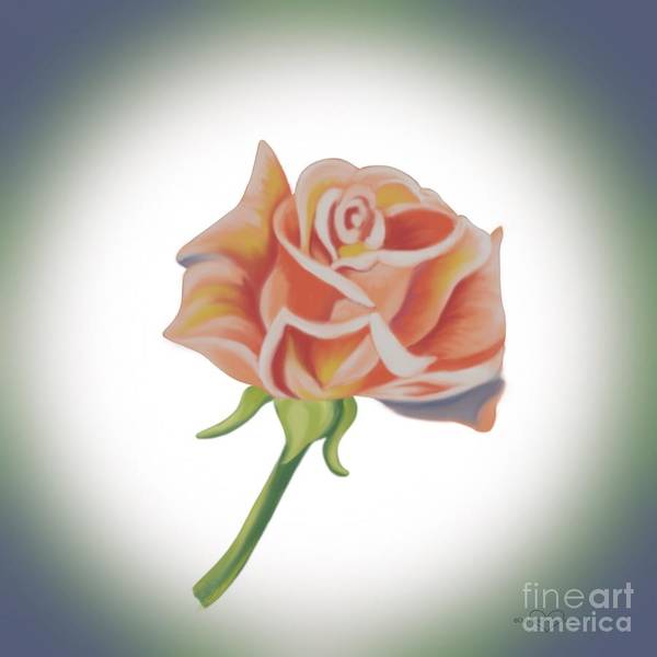 Single Pink Rose - Art Print