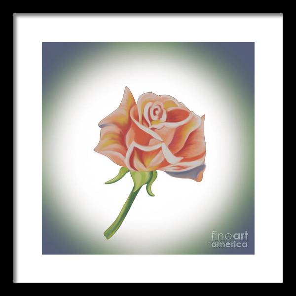 Single Pink Rose - Framed Print