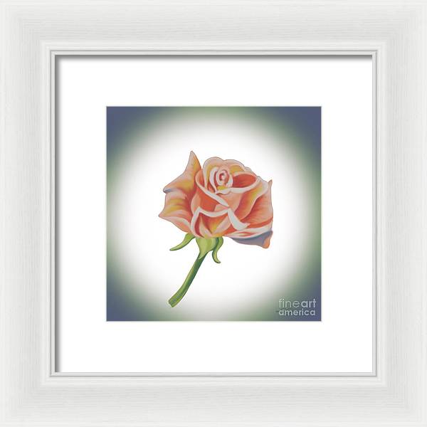 Single Pink Rose - Framed Print