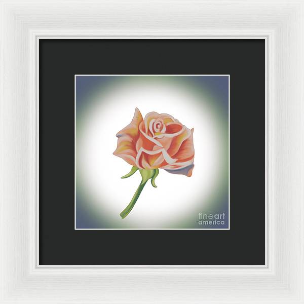 Single Pink Rose - Framed Print