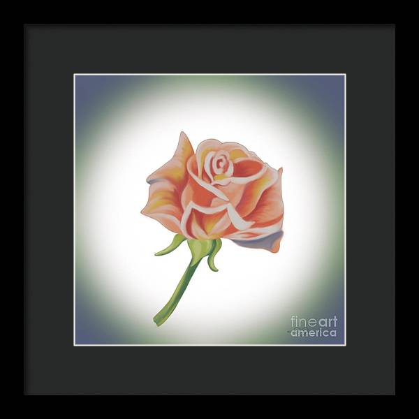 Single Pink Rose - Framed Print