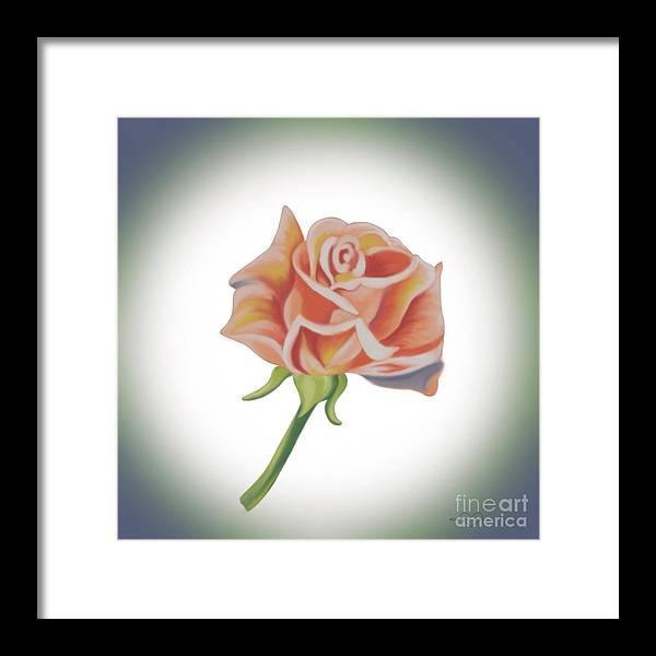 Single Pink Rose - Framed Print