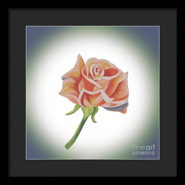 Single Pink Rose - Framed Print