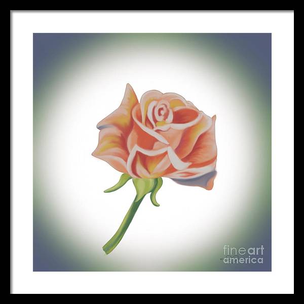 Single Pink Rose - Framed Print