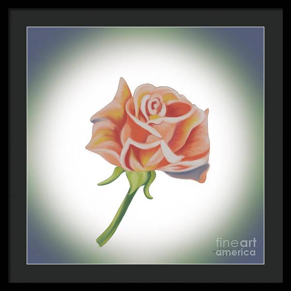 Single Pink Rose - Framed Print