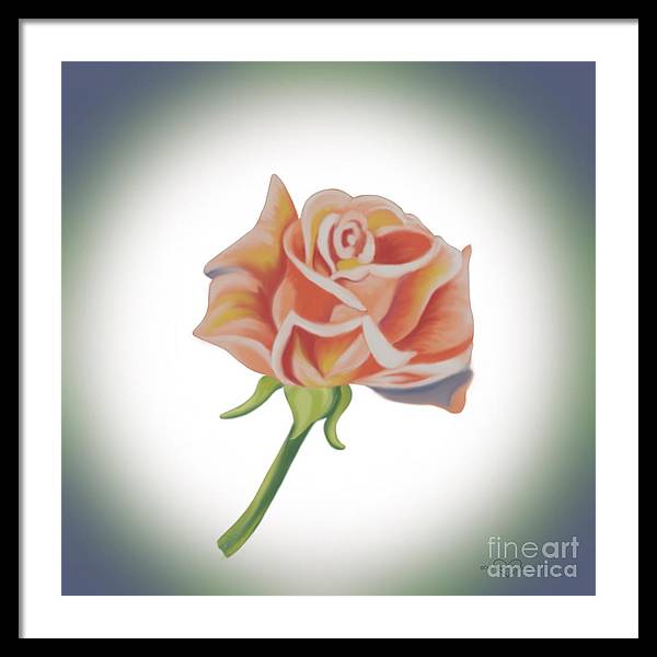 Single Pink Rose - Framed Print