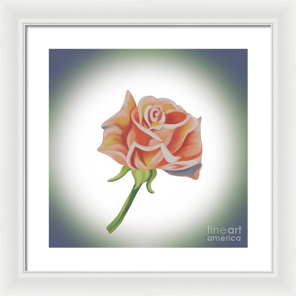 Single Pink Rose - Framed Print