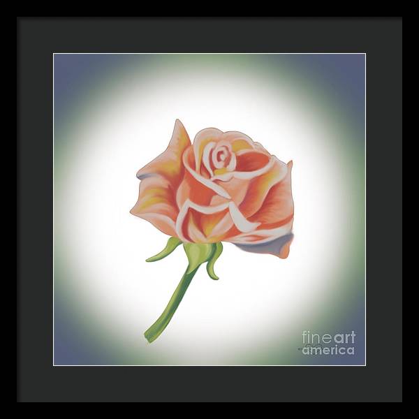 Single Pink Rose - Framed Print