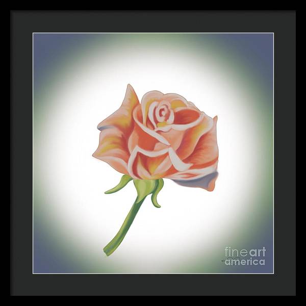 Single Pink Rose - Framed Print