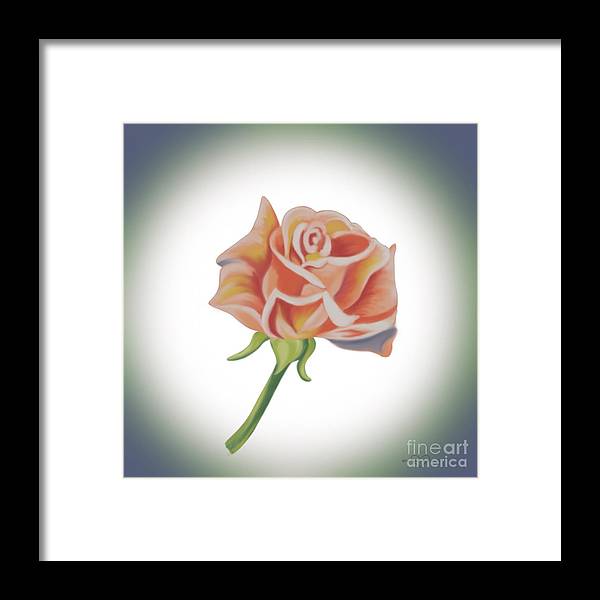 Single Pink Rose - Framed Print