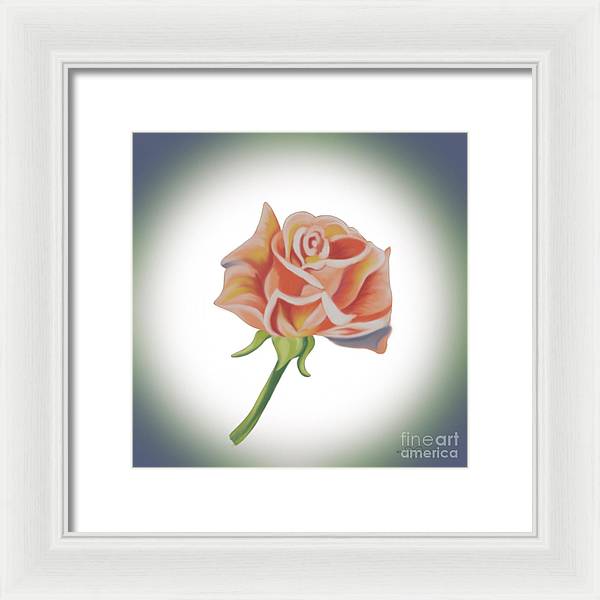 Single Pink Rose - Framed Print