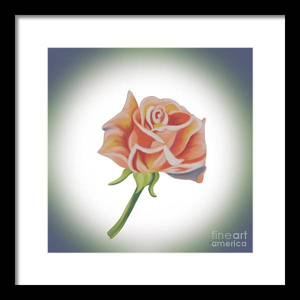 Single Pink Rose - Framed Print