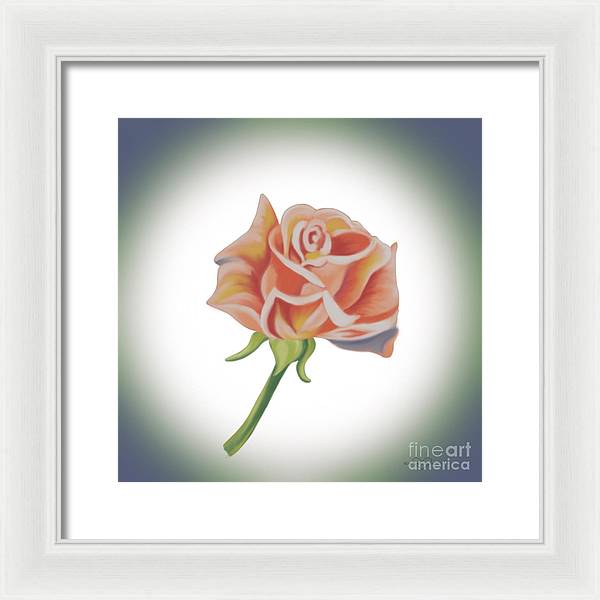 Single Pink Rose - Framed Print