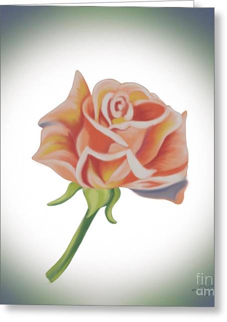 Single Pink Rose - Greeting Card