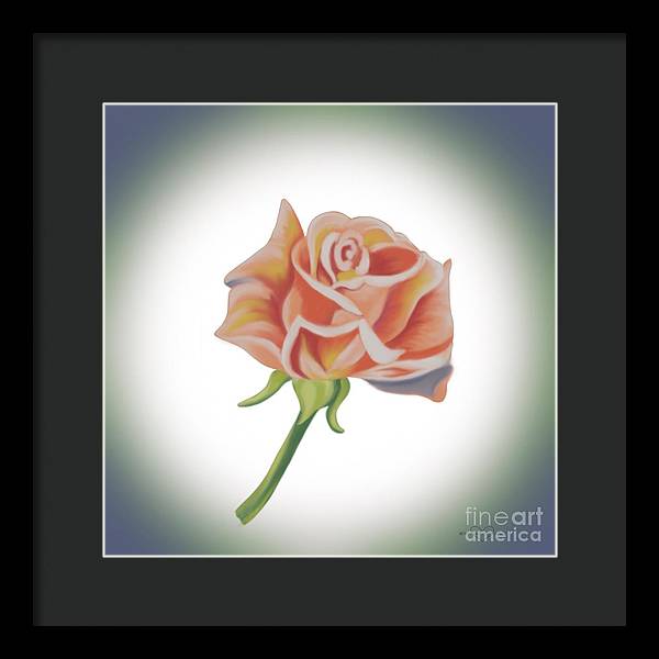 Single Pink Rose - Framed Print