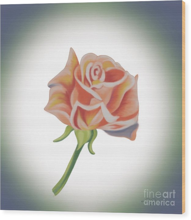 Single Pink Rose - Wood Print