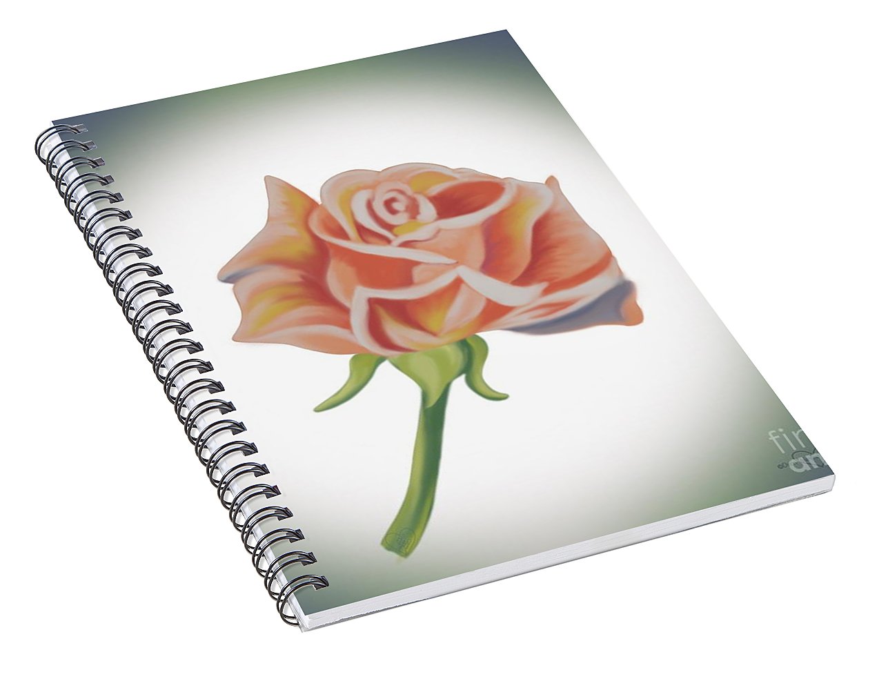 Single Pink Rose - Spiral Notebook