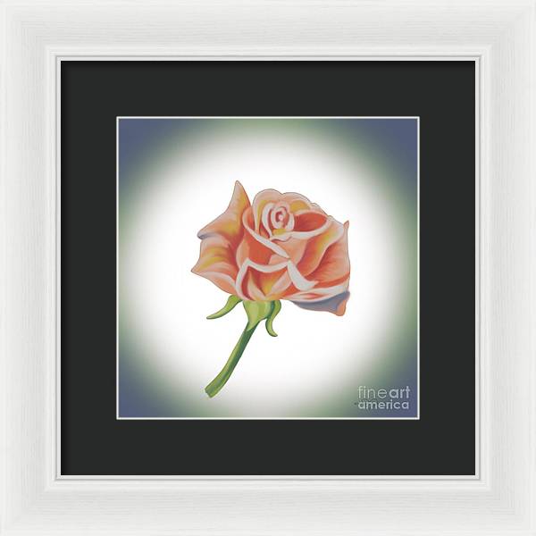 Single Pink Rose - Framed Print