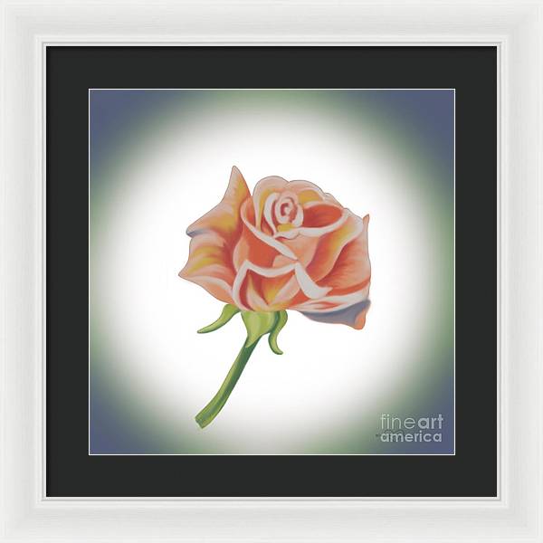 Single Pink Rose - Framed Print