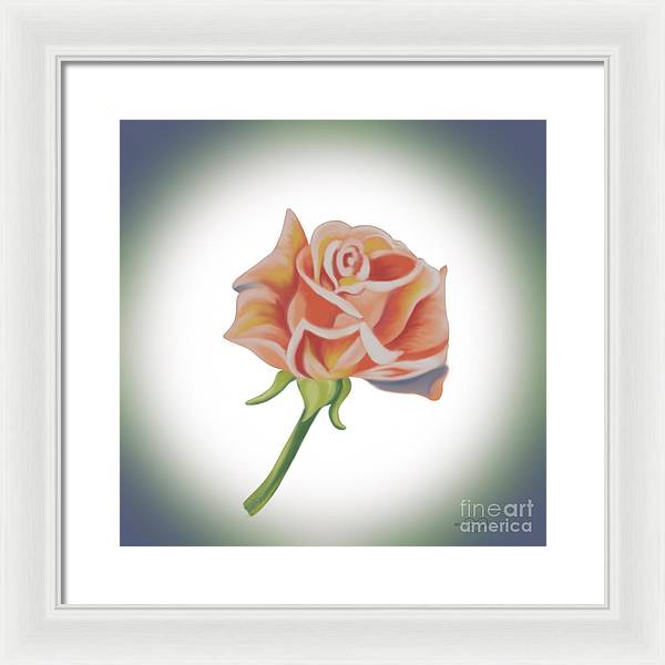 Single Pink Rose - Framed Print