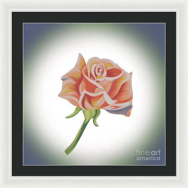 Single Pink Rose - Framed Print