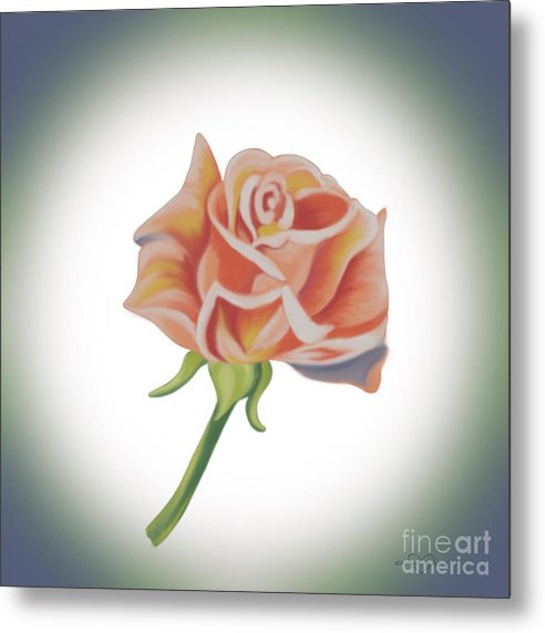 Single Pink Rose - Metal Print