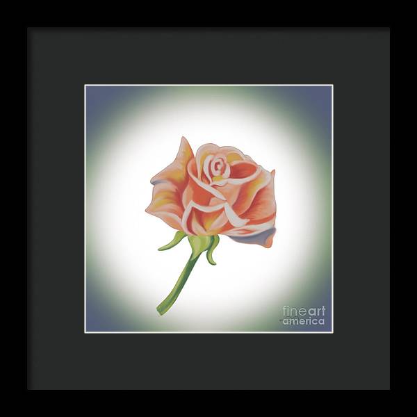 Single Pink Rose - Framed Print