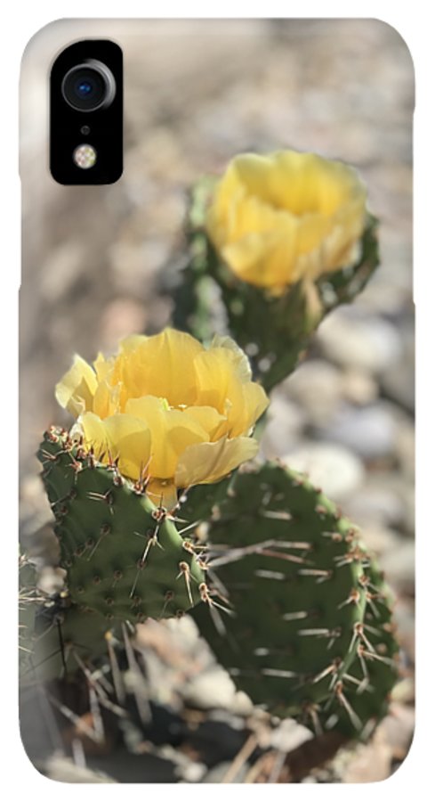 Prickly Pear  - Phone Case