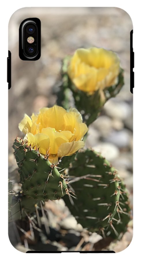 Prickly Pear  - Phone Case