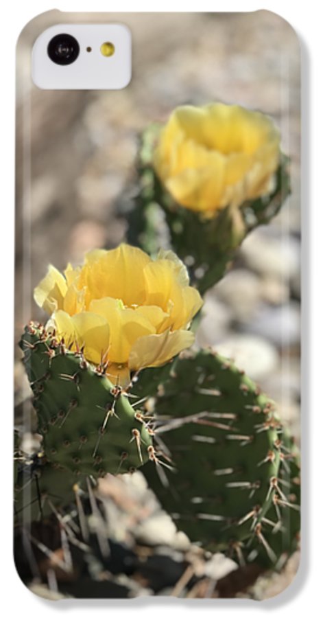 Prickly Pear  - Phone Case