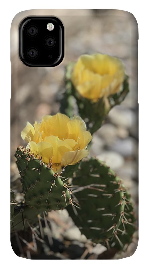 Prickly Pear  - Phone Case