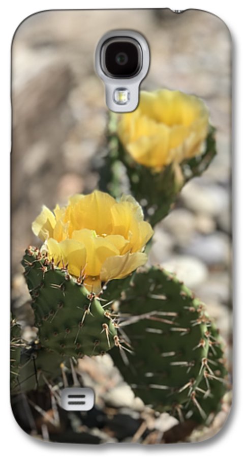 Prickly Pear  - Phone Case