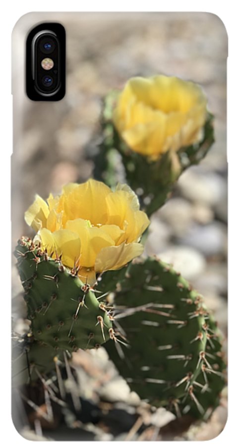 Prickly Pear  - Phone Case