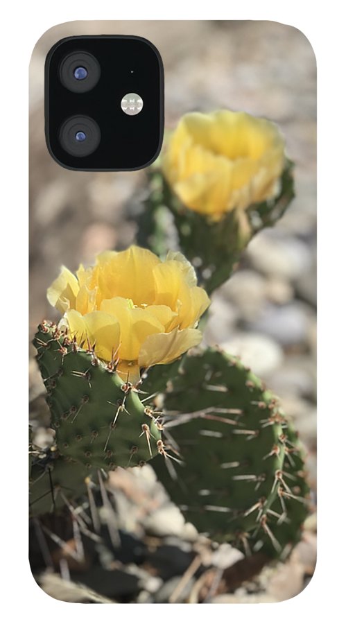 Prickly Pear  - Phone Case