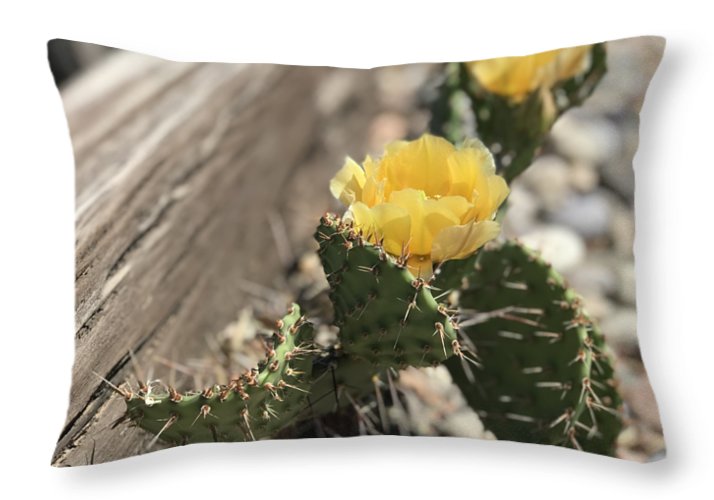 Prickly Pear  - Throw Pillow